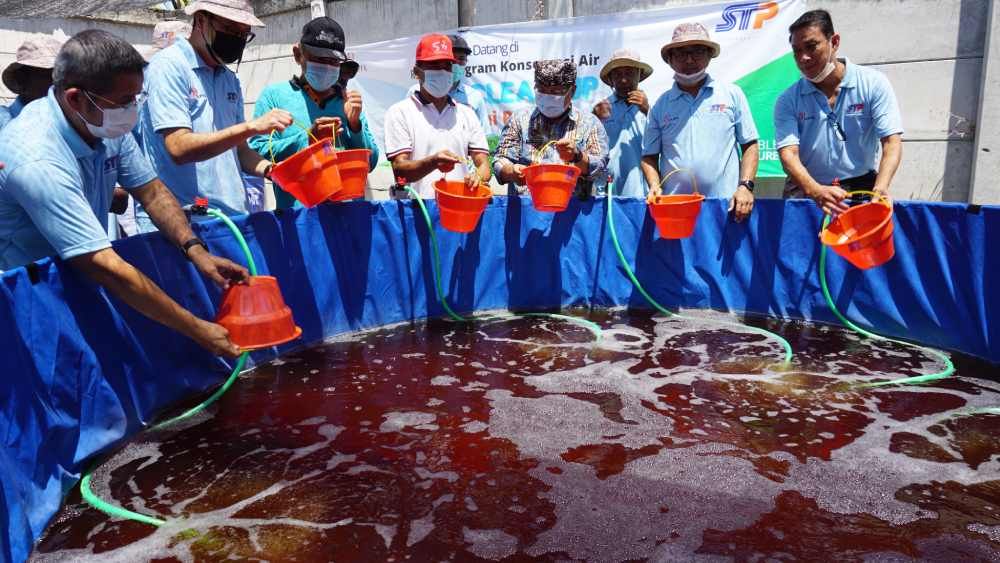 Mengenal Sistem Bioflok: Solusi Budidaya Hemat Air & Padat Tebar