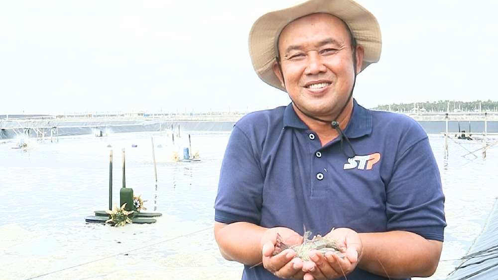 Top Tips for a High-Yield Vannamei Shrimp Harvest